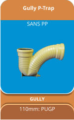 Gully P-Trap GULLY 110mm: PUGP SANS PP