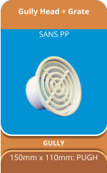 Gully Head + Grate GULLY 150mm x 110mm: PUGH SANS PP