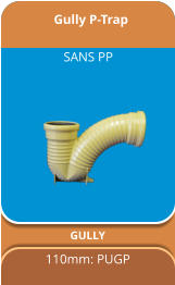 Gully P-Trap GULLY 110mm: PUGP SANS PP