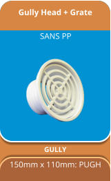 Gully Head + Grate GULLY 150mm x 110mm: PUGH SANS PP