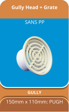 Gully Head + Grate GULLY 150mm x 110mm: PUGH SANS PP